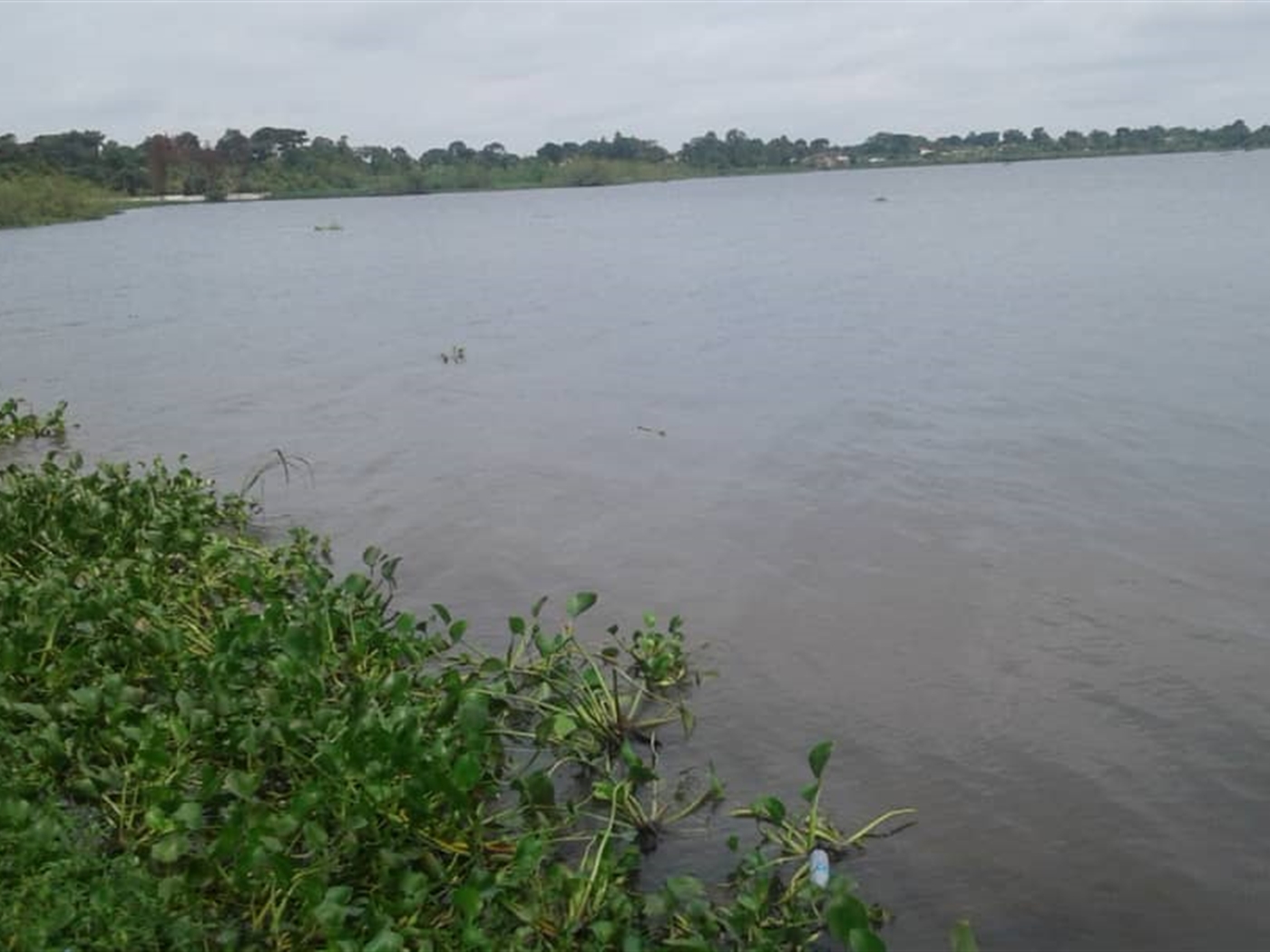 Multipurpose Land for sale in Buvuma Wakiso