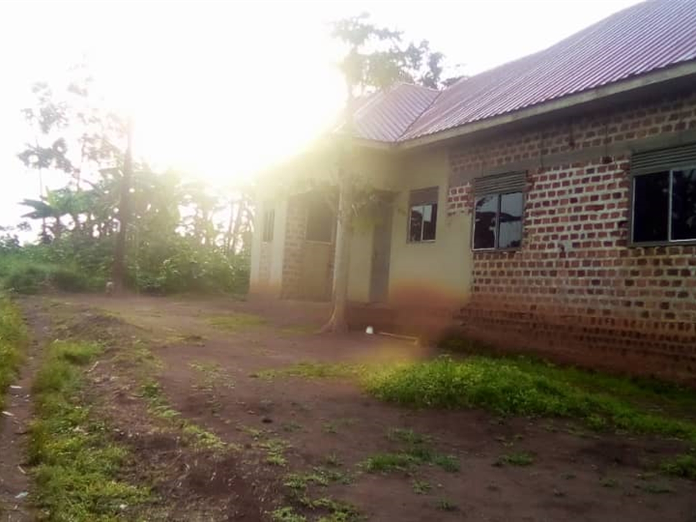 Bungalow for sale in Nakagala Wakiso