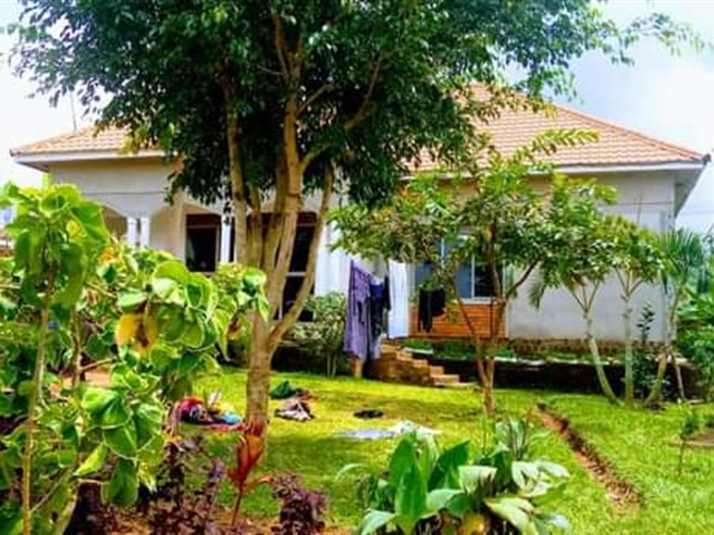 Bungalow for sale in Mukono Mukono