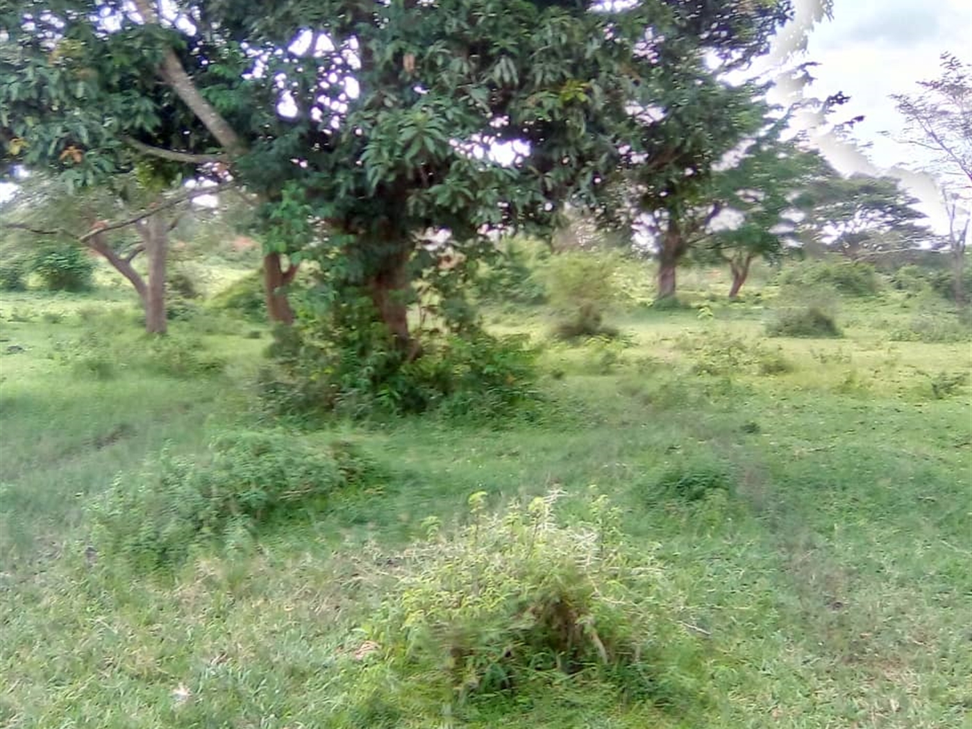Multipurpose Land for sale in Ggomba Mpigi