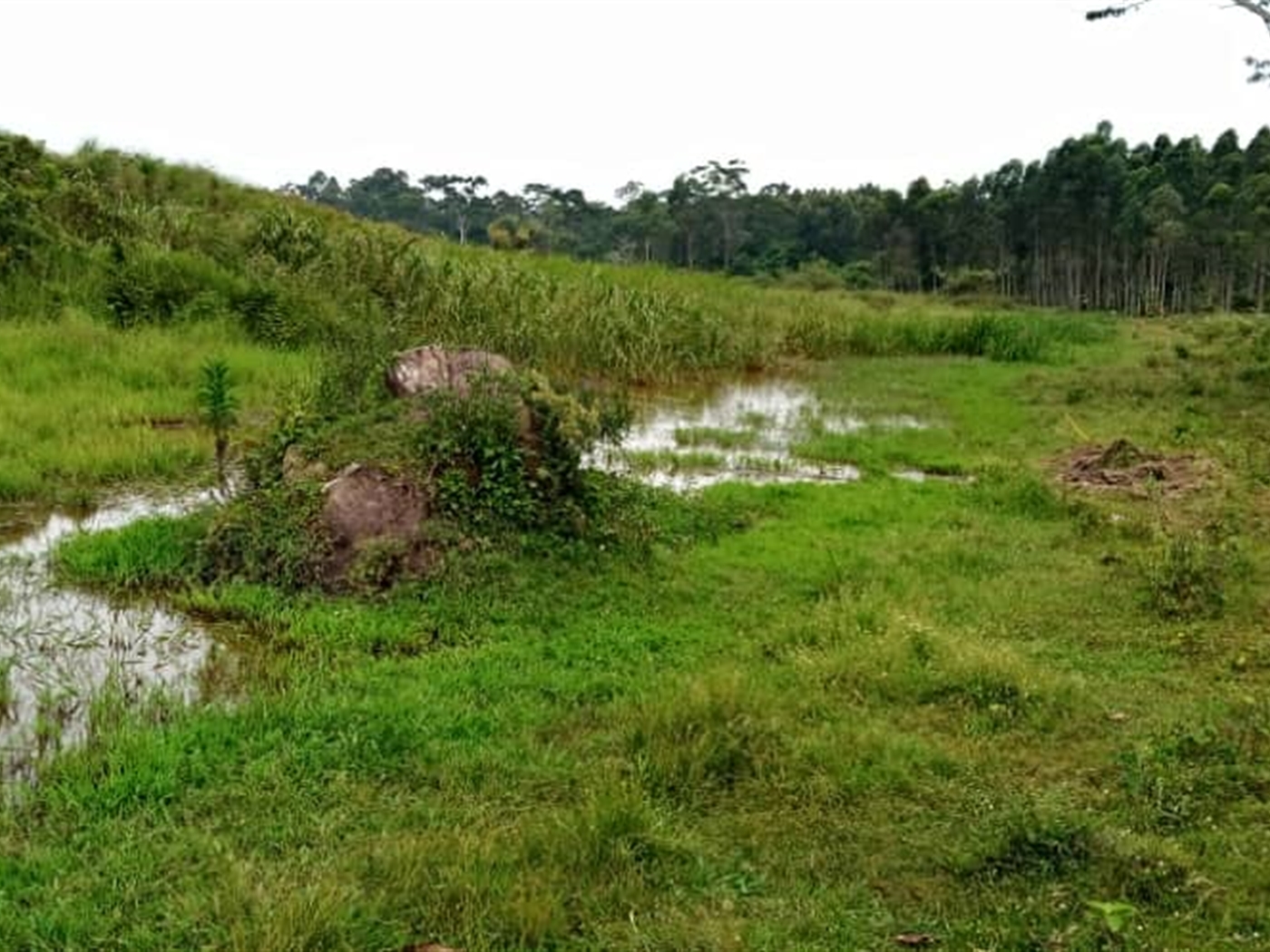 Multipurpose Land for sale in Katosi Mukono