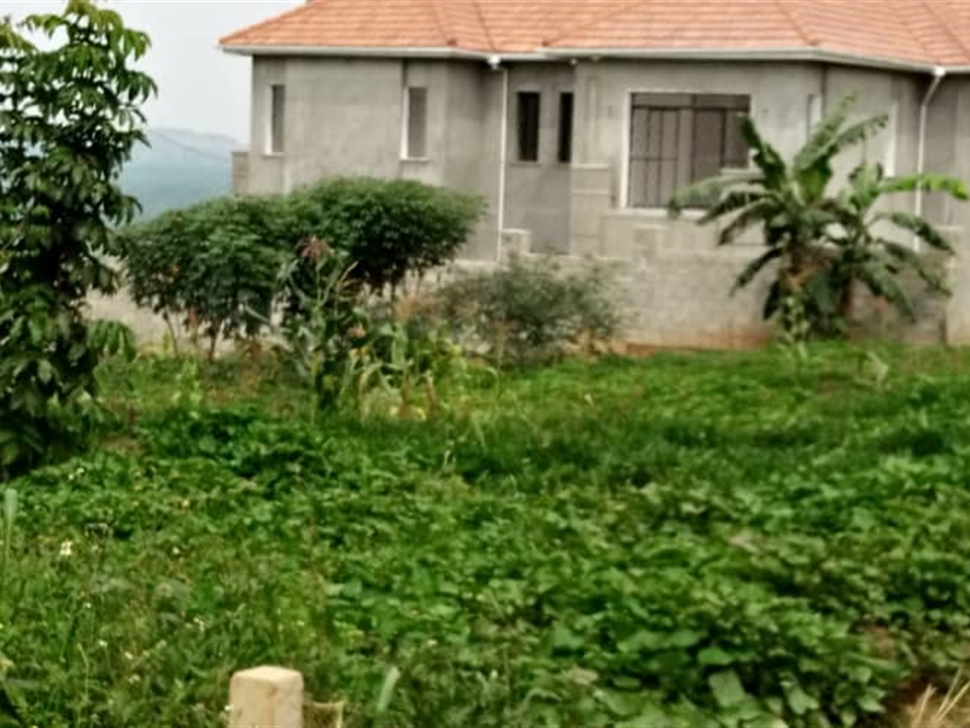 Multipurpose Land for sale in Kira Wakiso