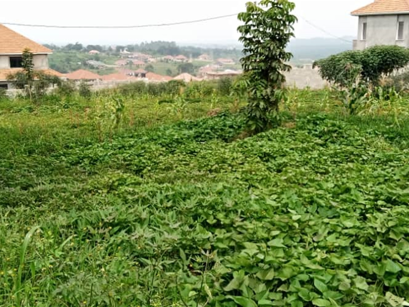 Multipurpose Land for sale in Kira Wakiso