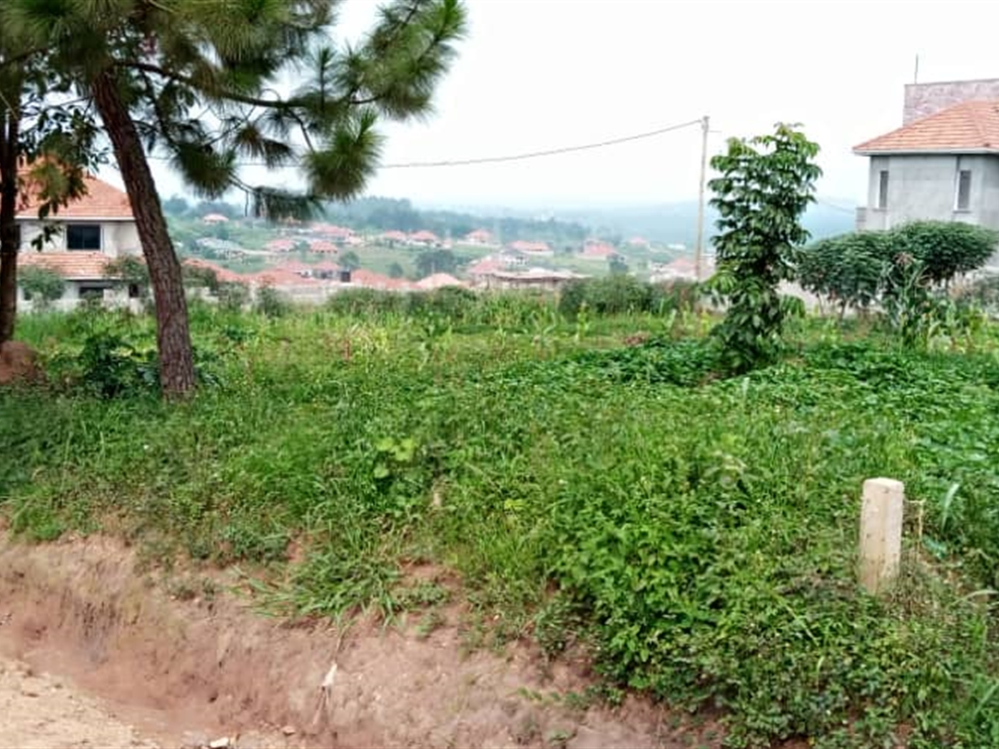 Multipurpose Land for sale in Kira Wakiso