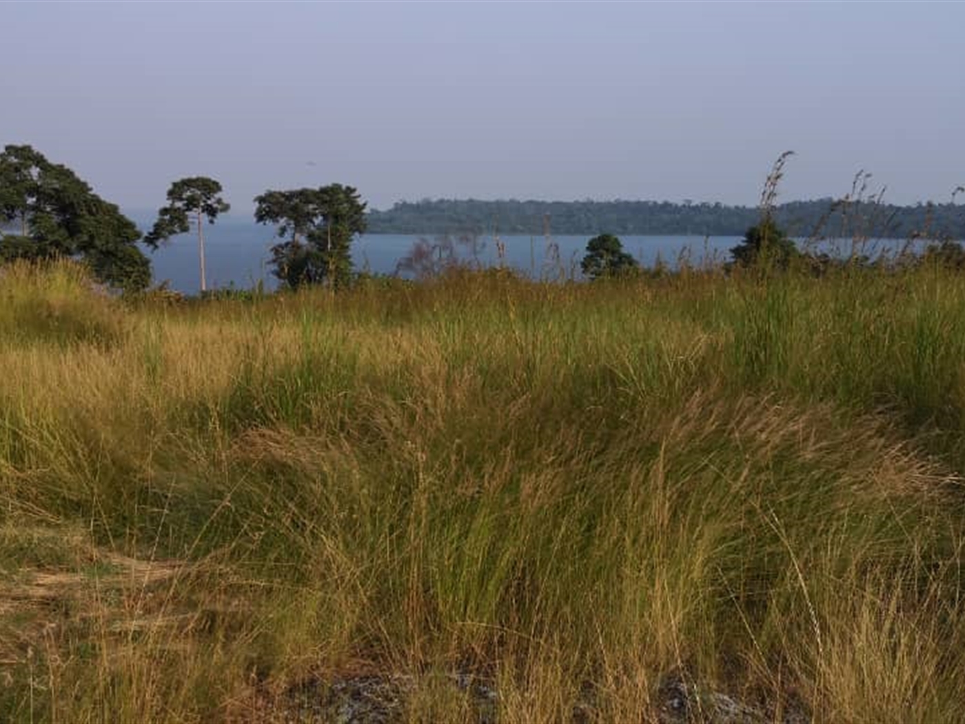 Multipurpose Land for sale in Bufumira Kalangala