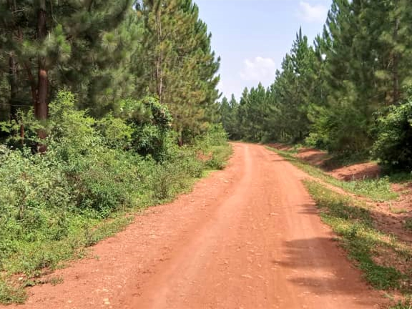 Multipurpose Land for sale in Nakaseke Nakaseke