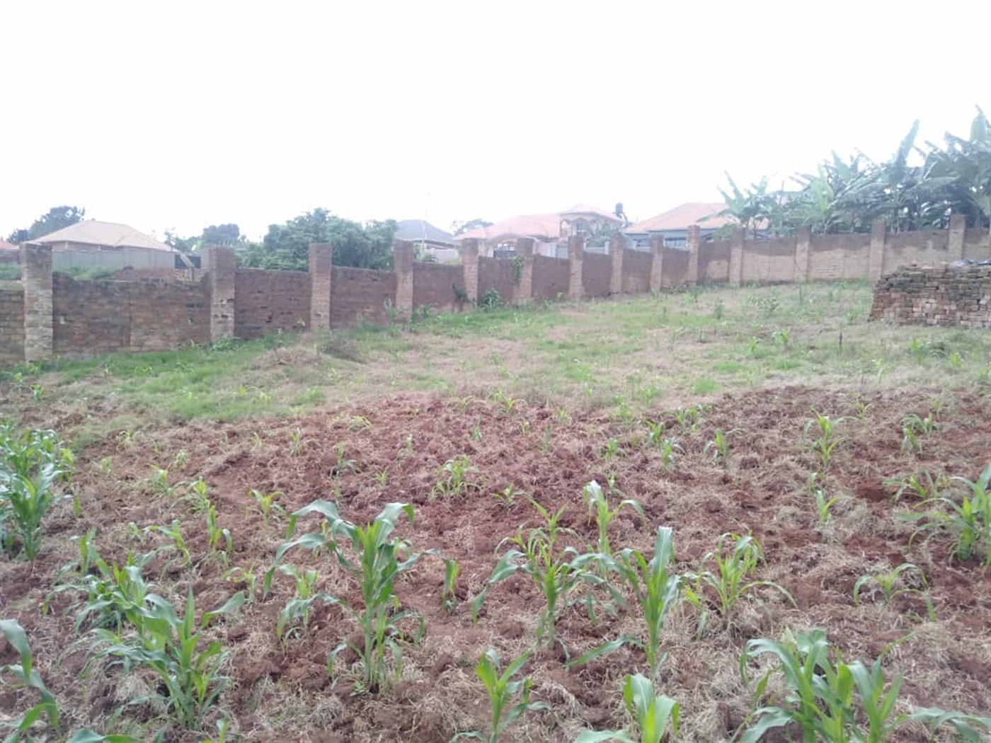 Multipurpose Land for sale in Kawotto Wakiso
