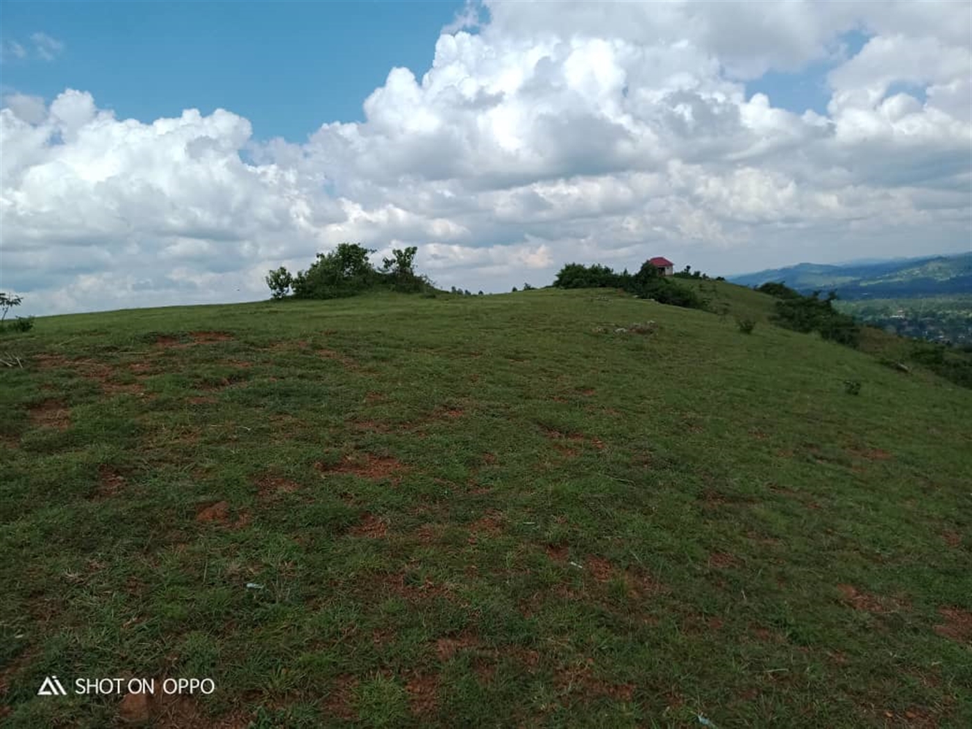 Multipurpose Land for sale in Town Mpigi