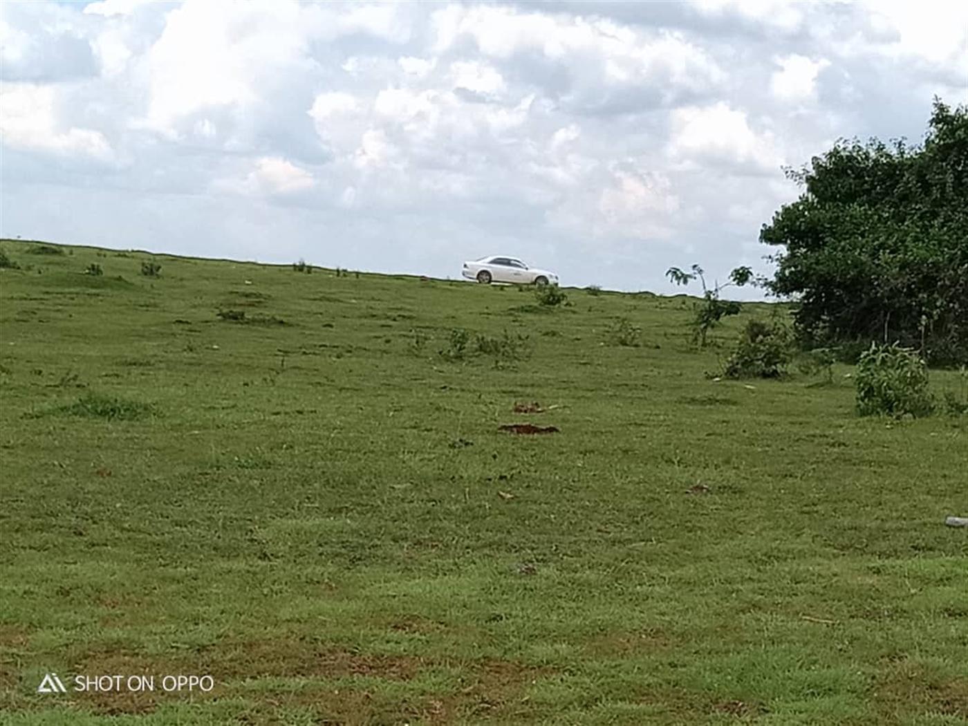 Multipurpose Land for sale in Town Mpigi