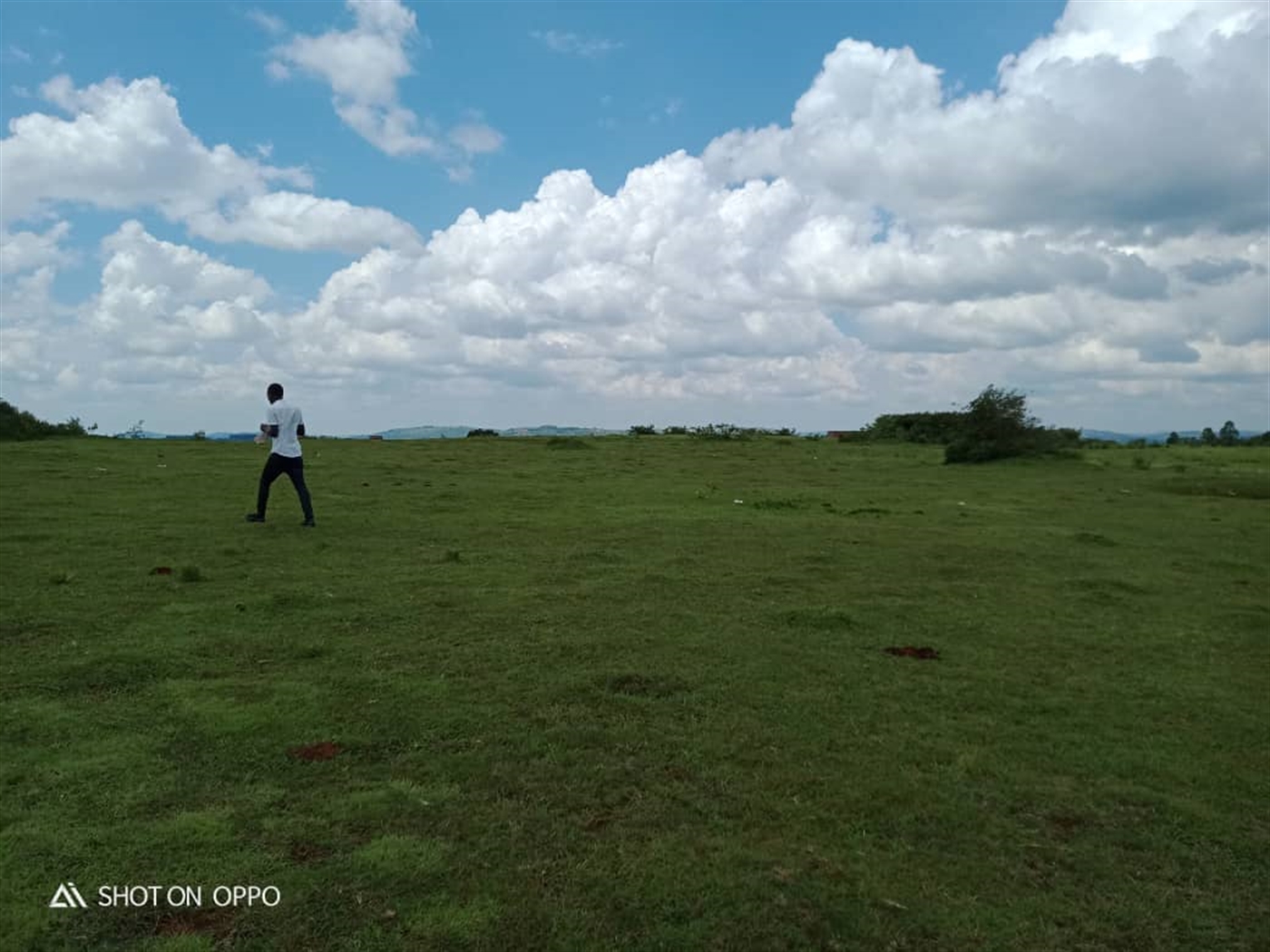 Multipurpose Land for sale in Town Mpigi