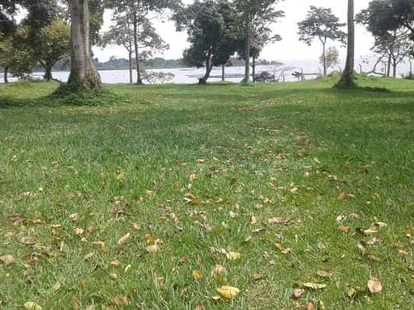 Multipurpose Land for sale in Bwelenga Bugiri