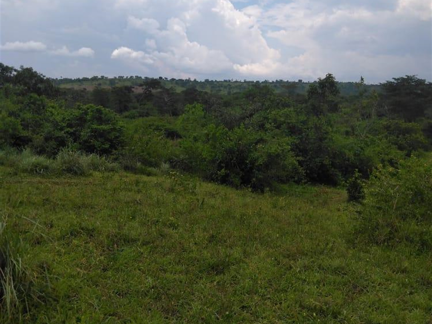 Multipurpose Land for sale in Gomba Sembabule