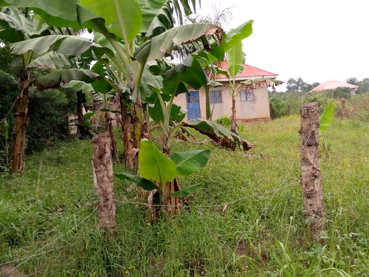 Bungalow for sale in Kavule Wakiso