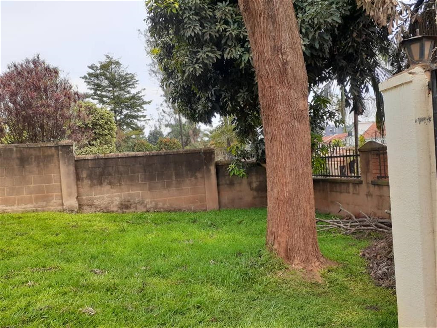 Bungalow for rent in Naguru Kampala