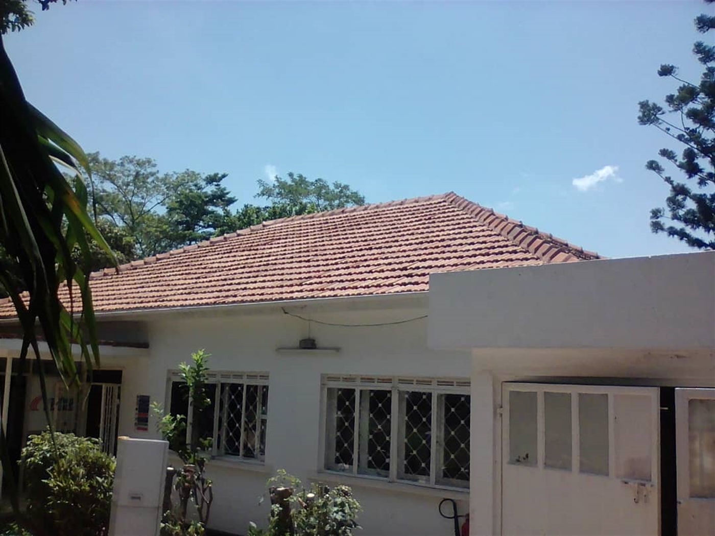 Bungalow for rent in Bugoloobi Kampala