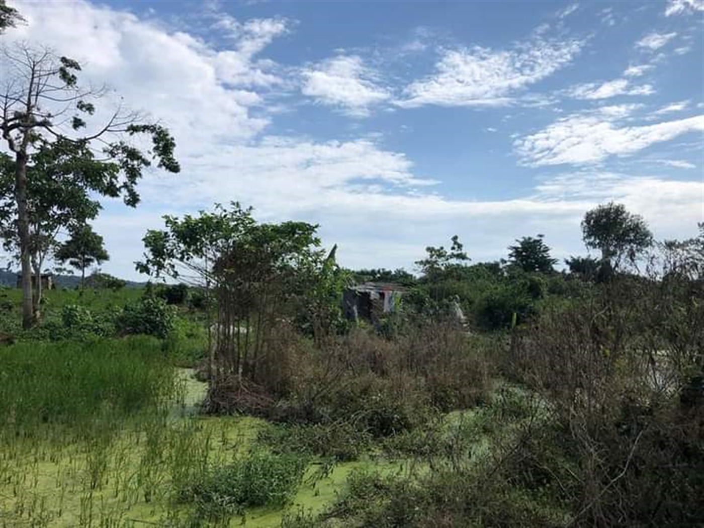 Multipurpose Land for sale in Jana Wakiso