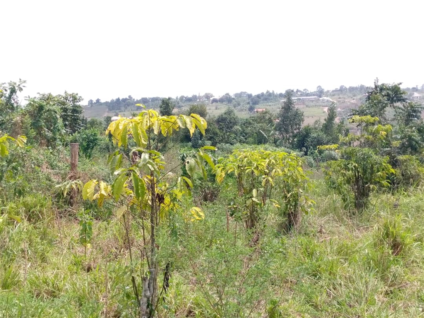 Multipurpose Land for sale in Gombe Wakiso