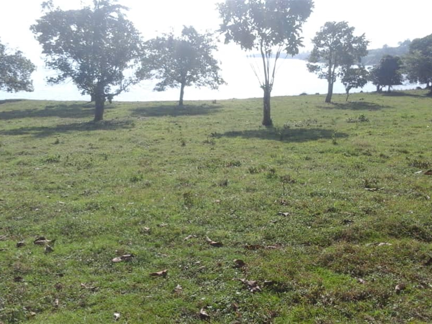 Multipurpose Land for sale in Koome Mukono