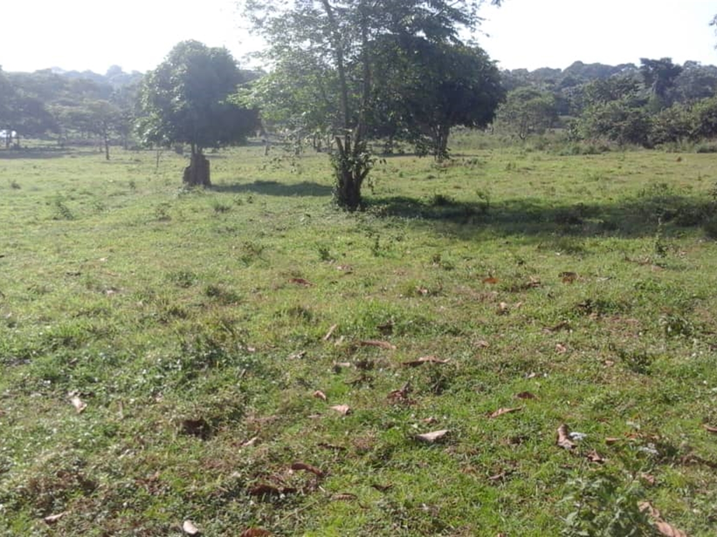 Multipurpose Land for sale in Koome Mukono