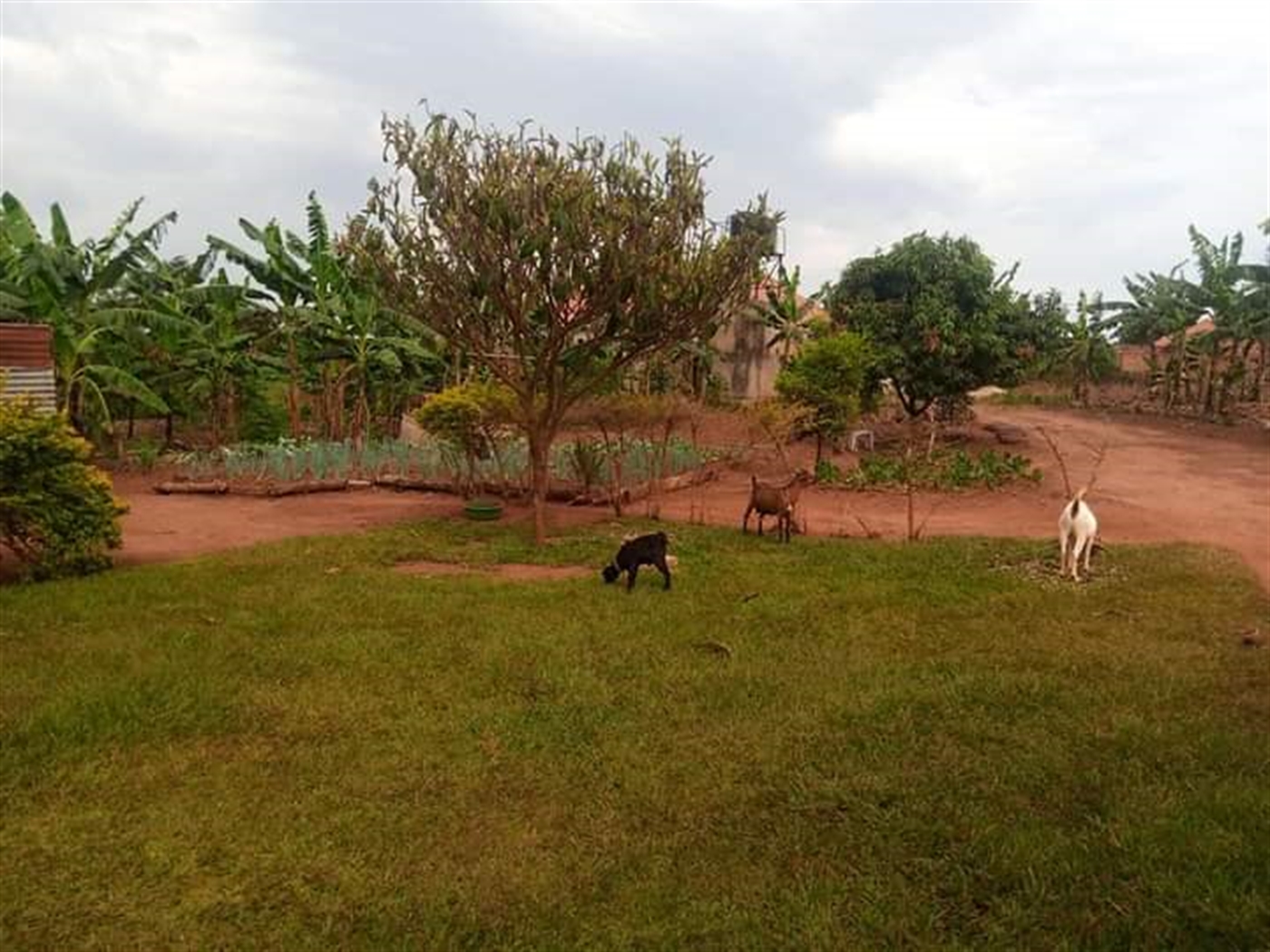 Bungalow for sale in Kira Wakiso