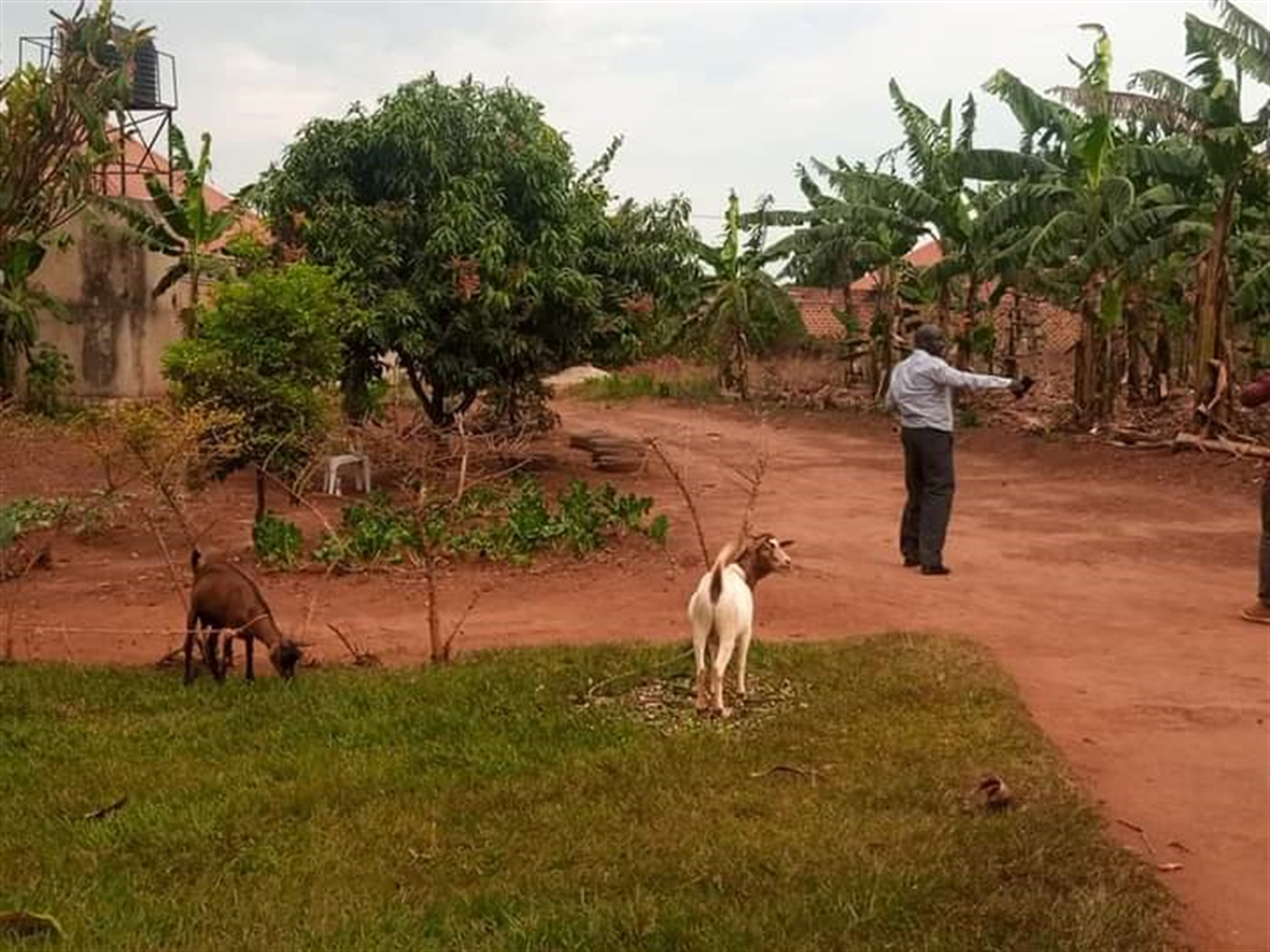 Bungalow for sale in Kira Wakiso