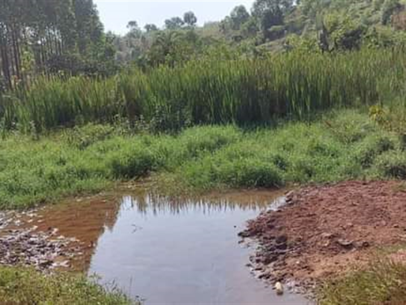 Multipurpose Land for sale in Kikandwa Mityana