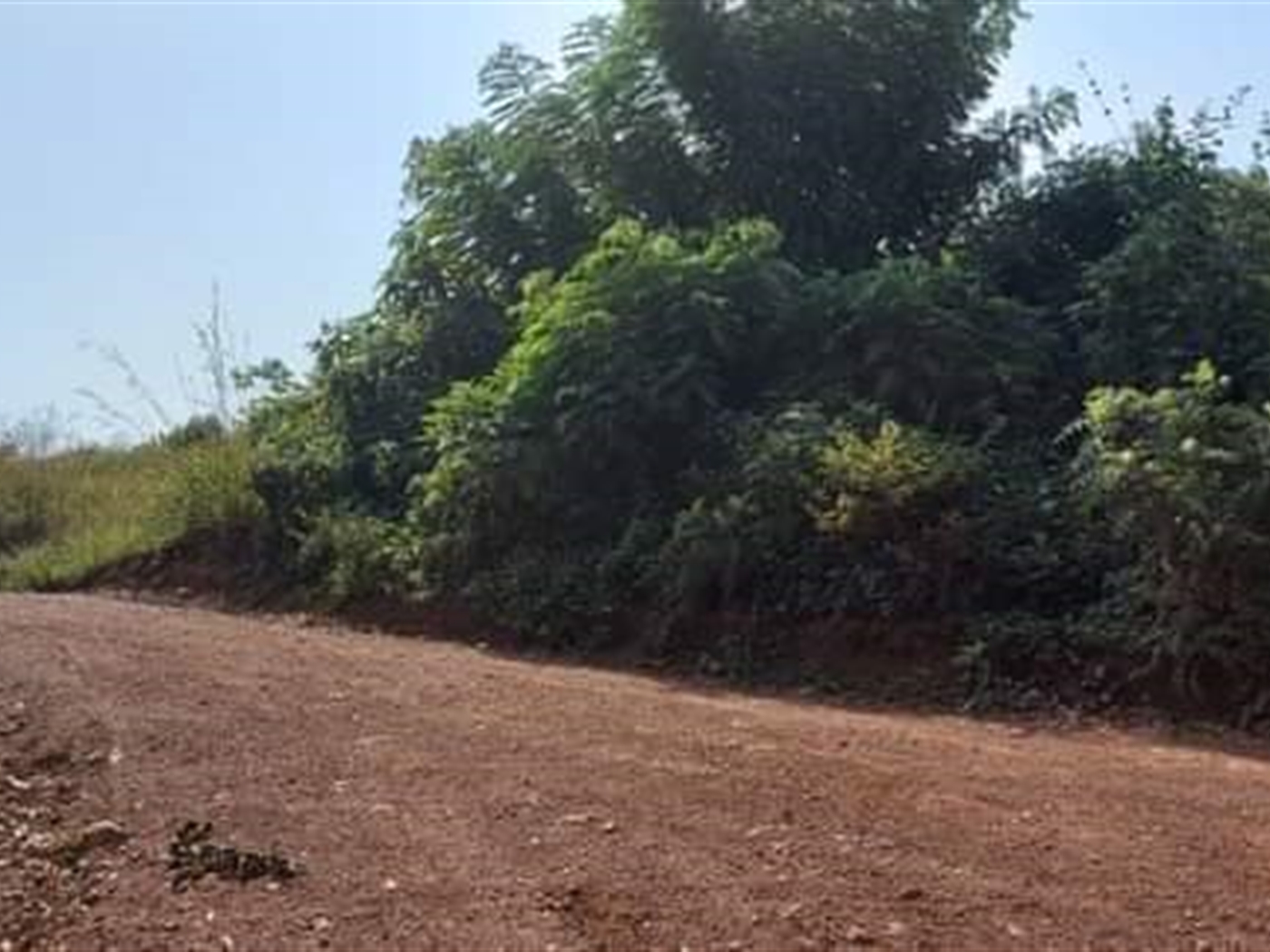 Multipurpose Land for sale in Kikandwa Mityana
