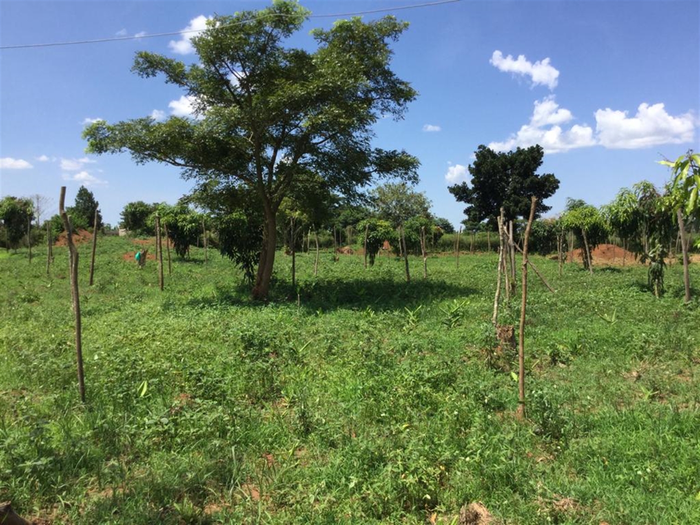 Multipurpose Land for sale in Kamila Luweero