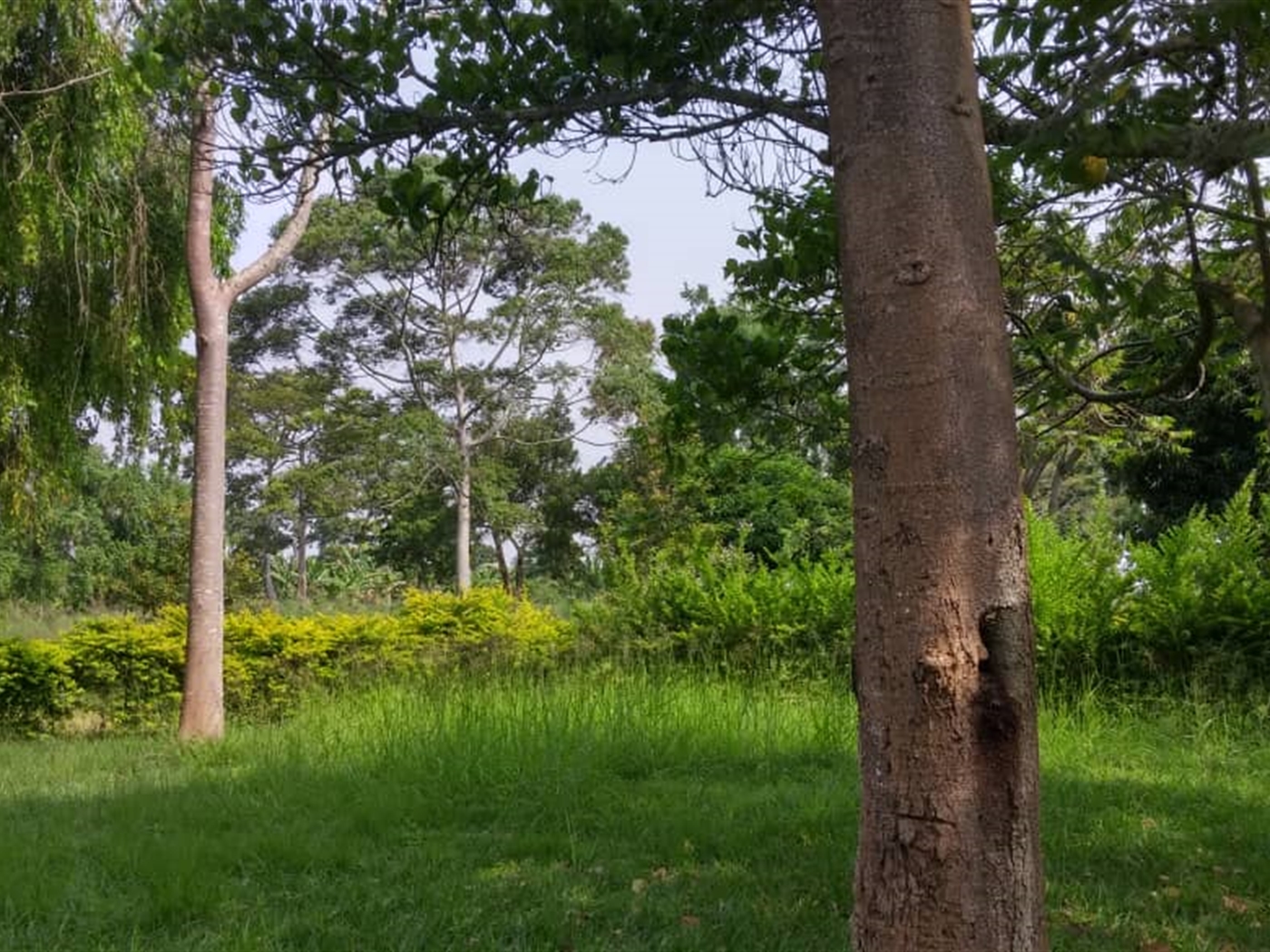 Multipurpose Land for sale in Mpigicenter Mpigi