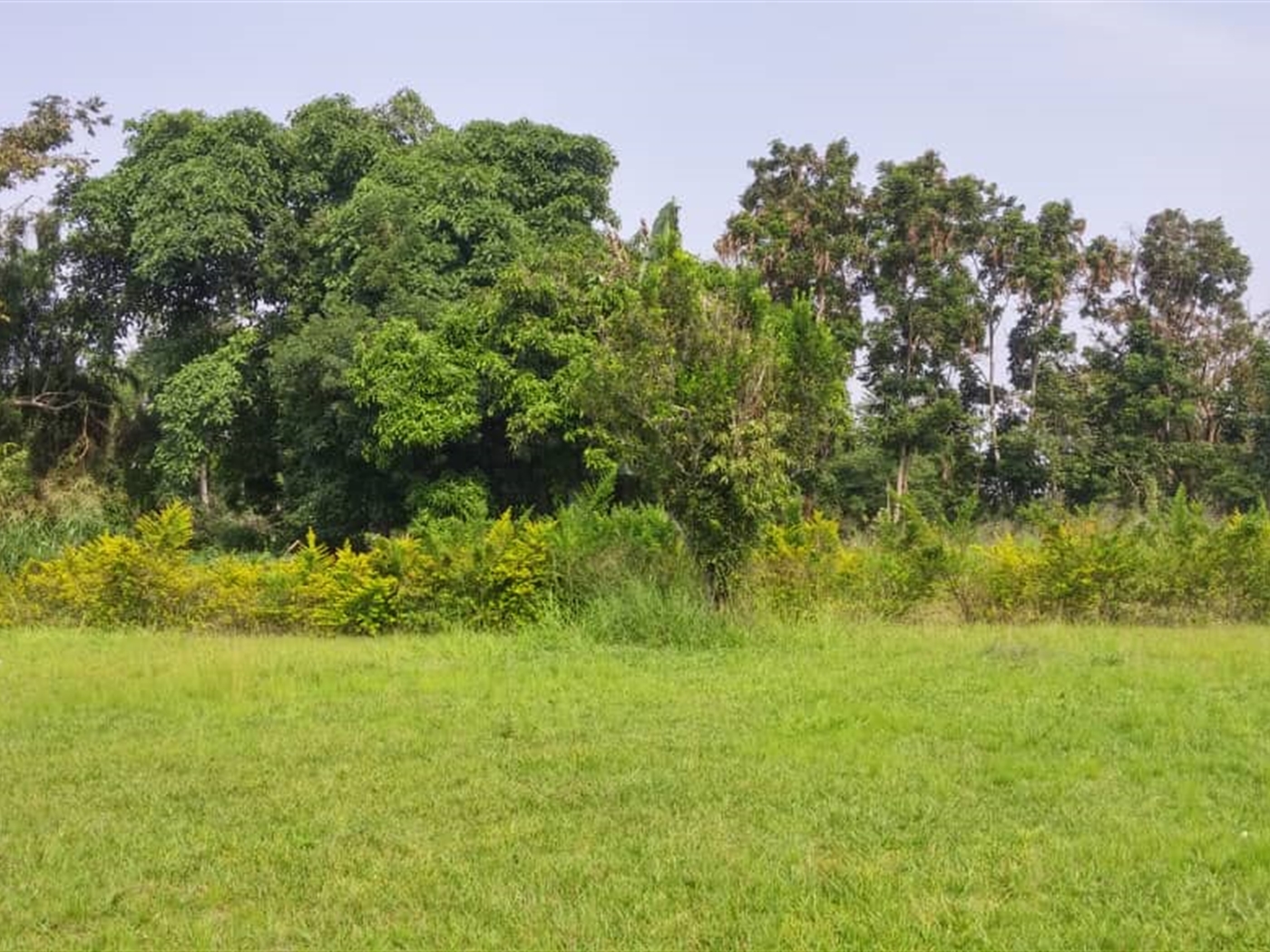 Multipurpose Land for sale in Mpigicenter Mpigi