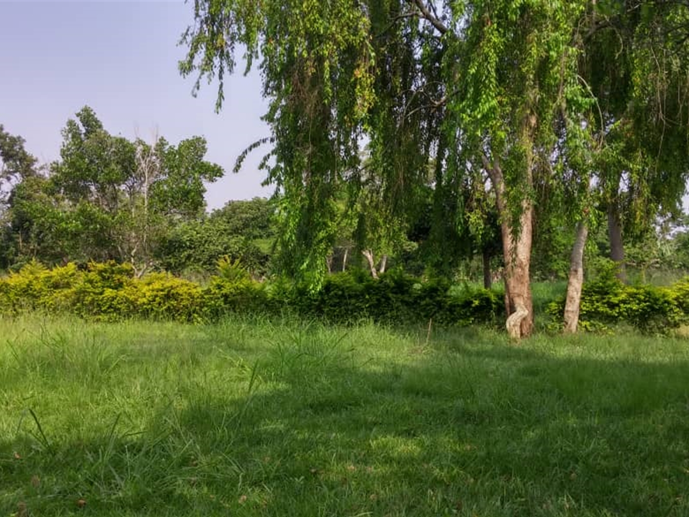 Multipurpose Land for sale in Mpigicenter Mpigi