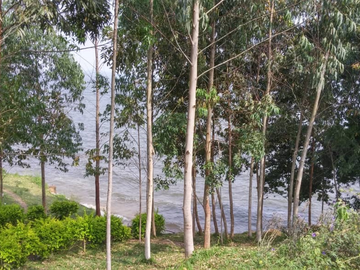 Multipurpose Land for sale in Mpigicenter Mpigi