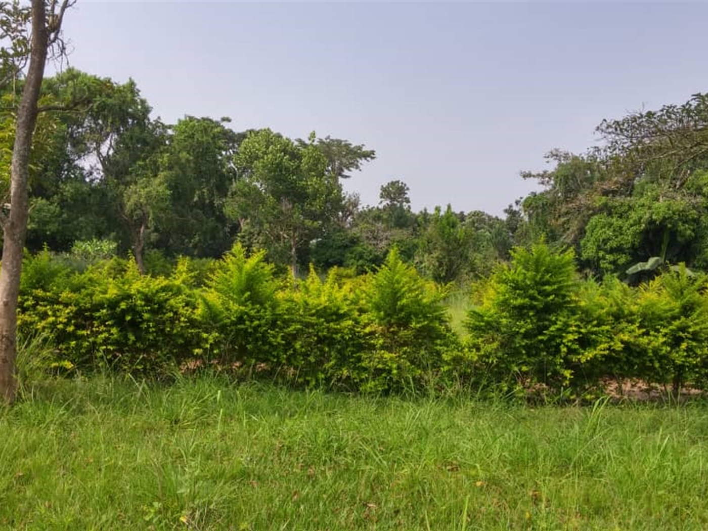 Multipurpose Land for sale in Mpigicenter Mpigi