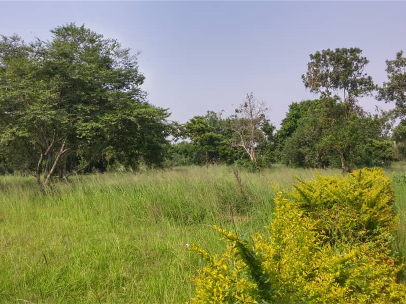Multipurpose Land for sale in Mpigicenter Mpigi