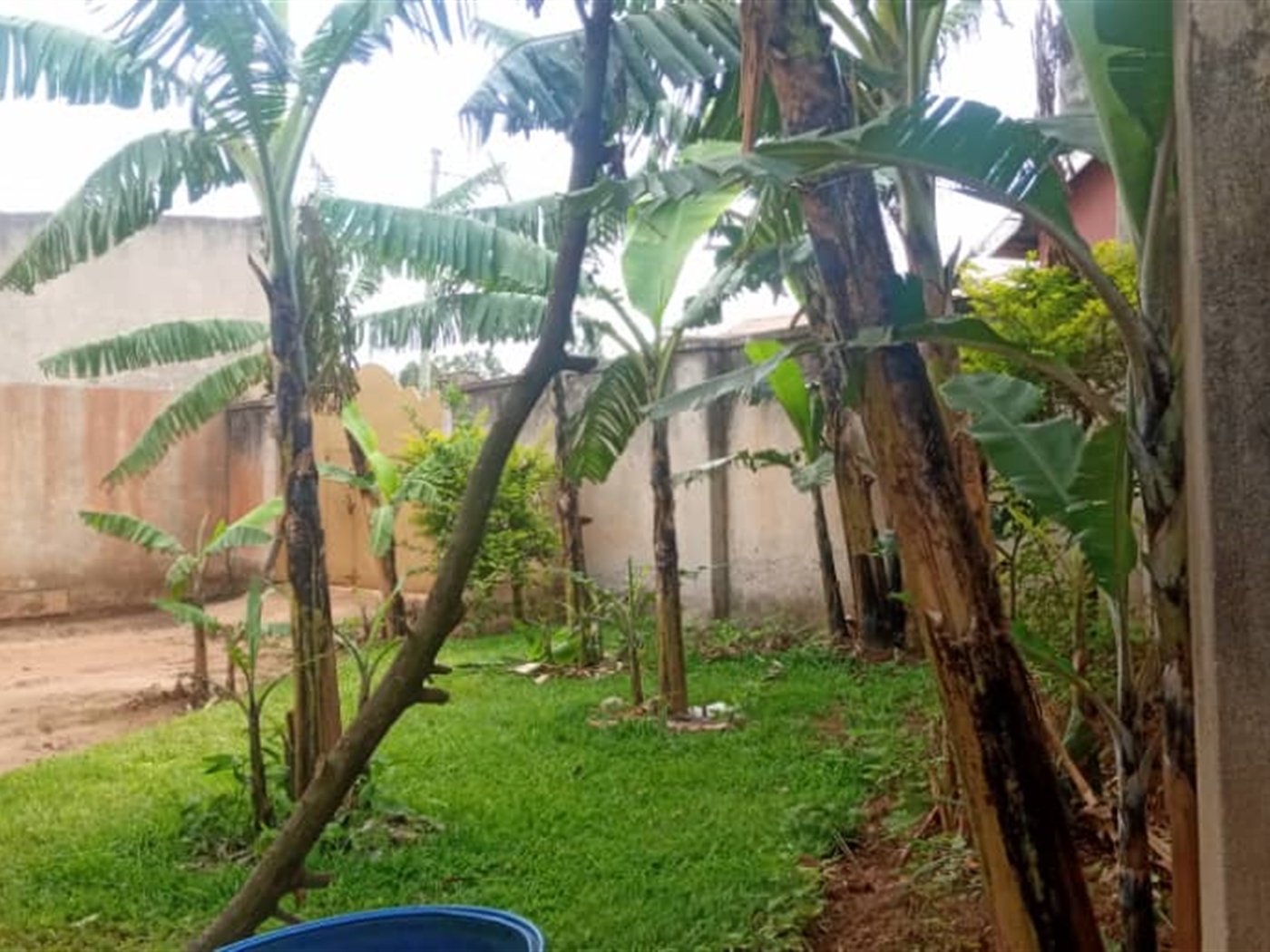 Bungalow for sale in Kirinya Kampala