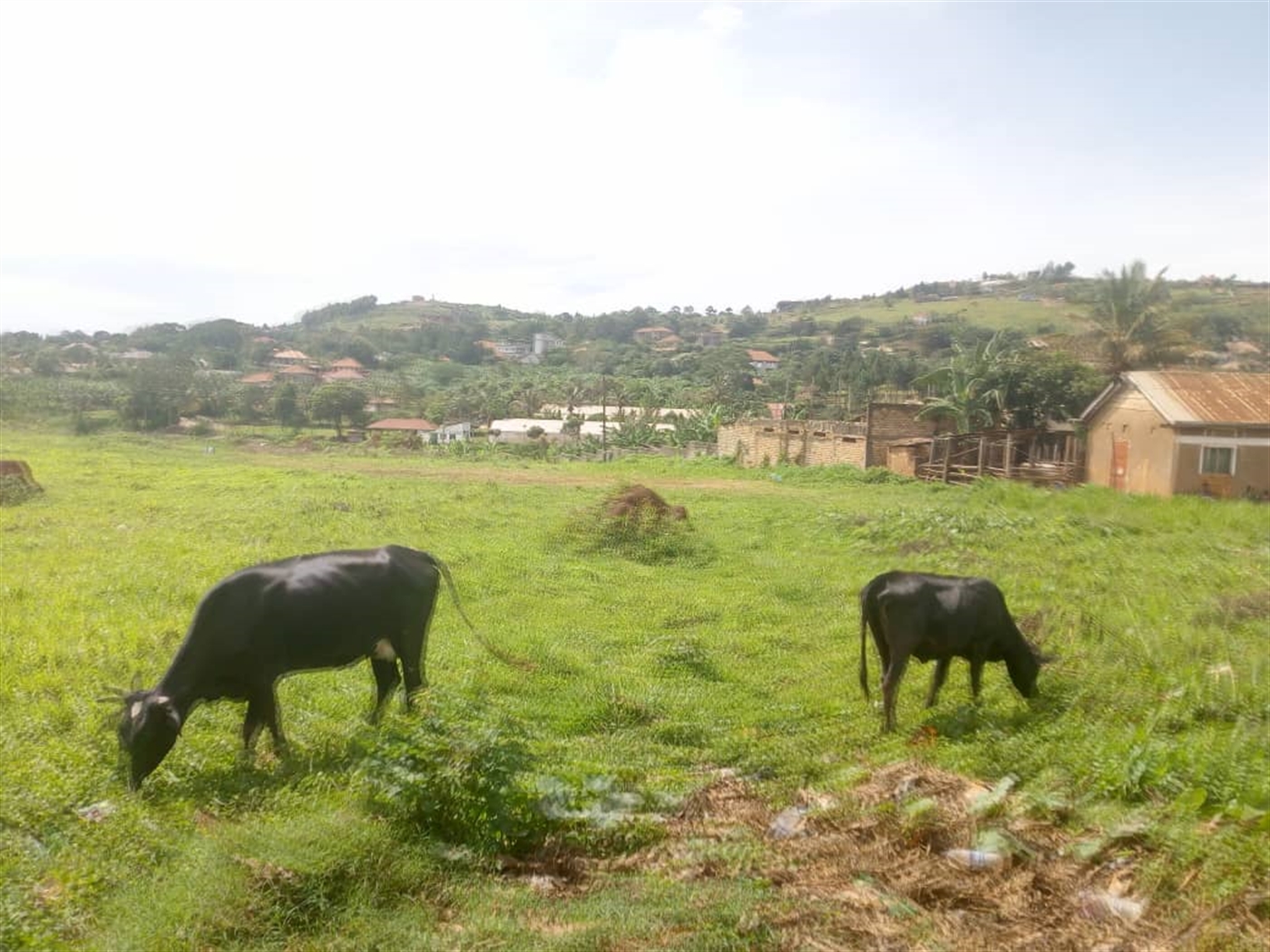 Multipurpose Land for sale in Namulanda Wakiso