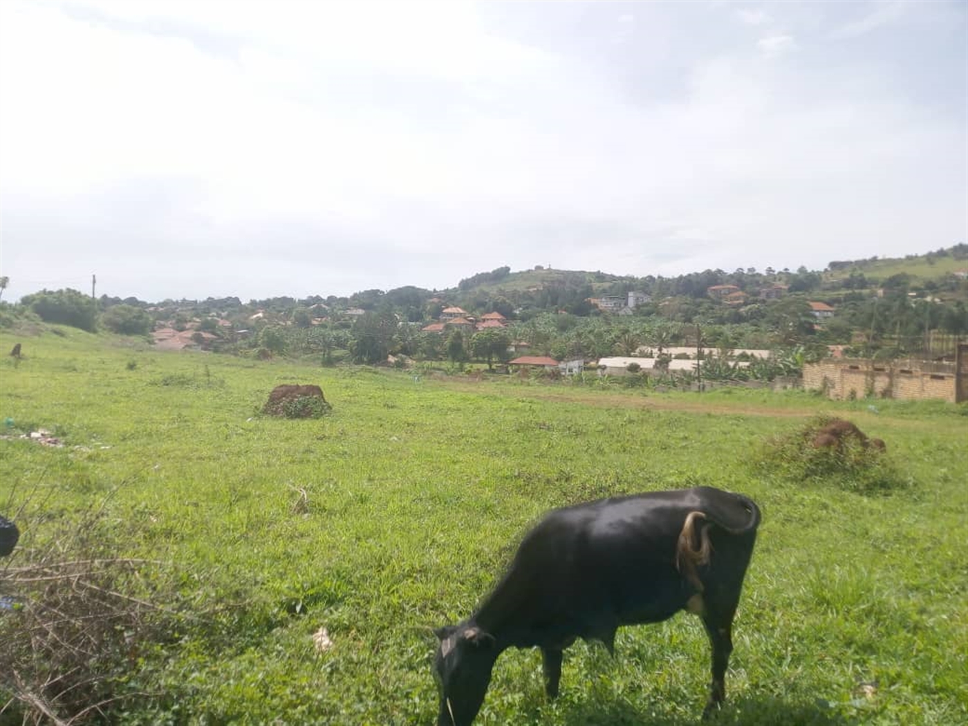 Multipurpose Land for sale in Namulanda Wakiso