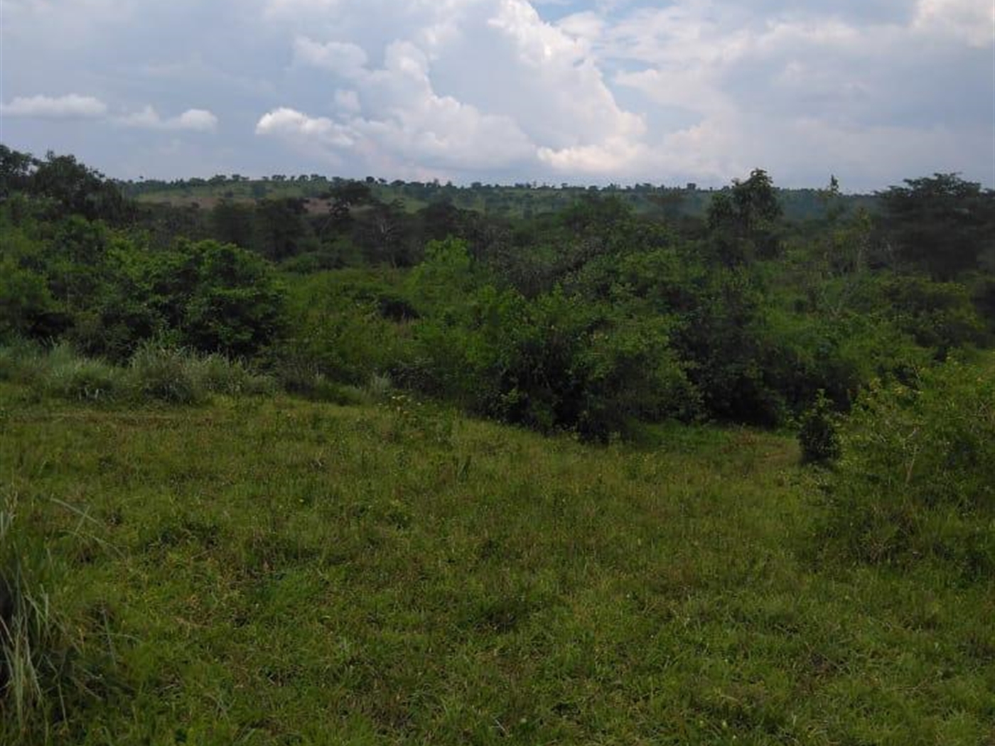 Multipurpose Land for sale in Kabulasoke Gomba