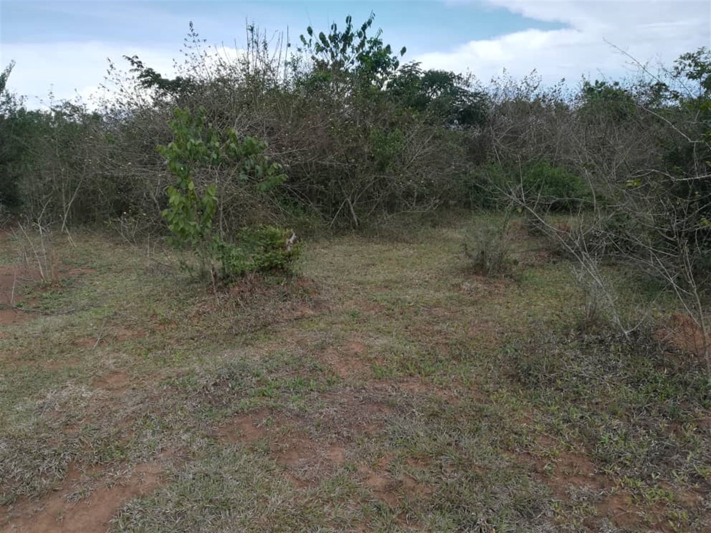 Multipurpose Land for sale in Bbaale Kayunga