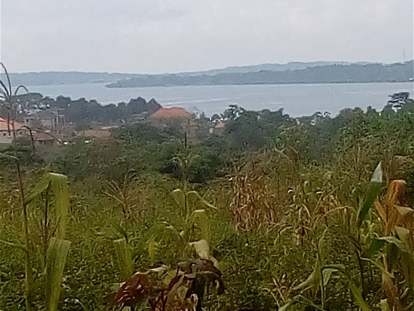 Multipurpose Land for sale in Bukasa Wakiso