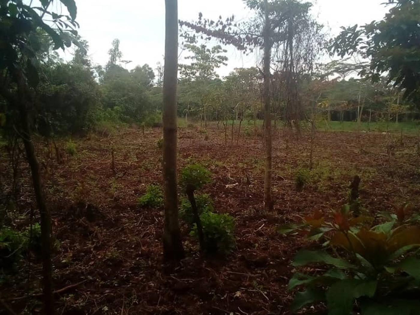 Multipurpose Land for sale in Bukasa Wakiso