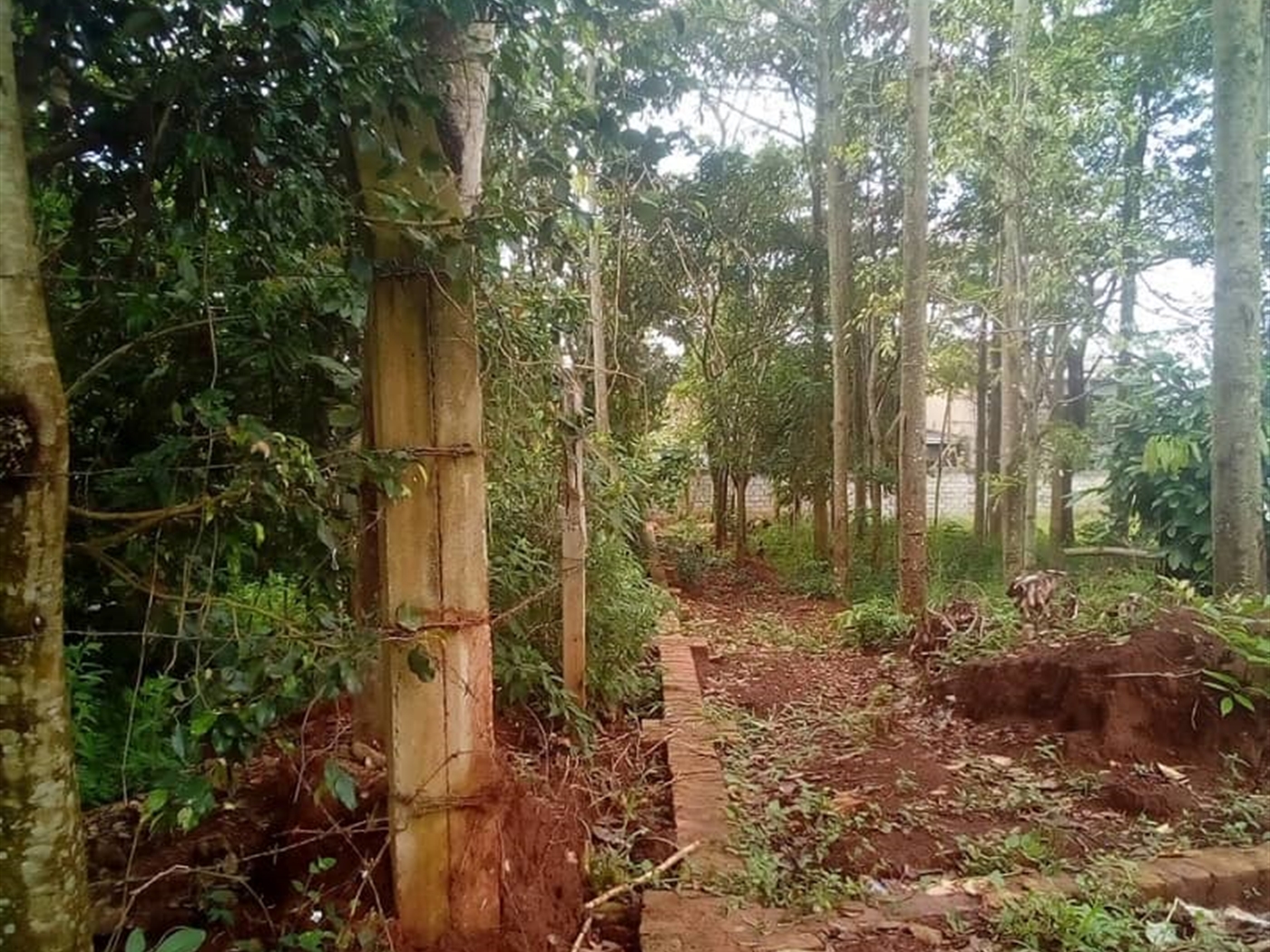 Multipurpose Land for sale in Bukasa Wakiso