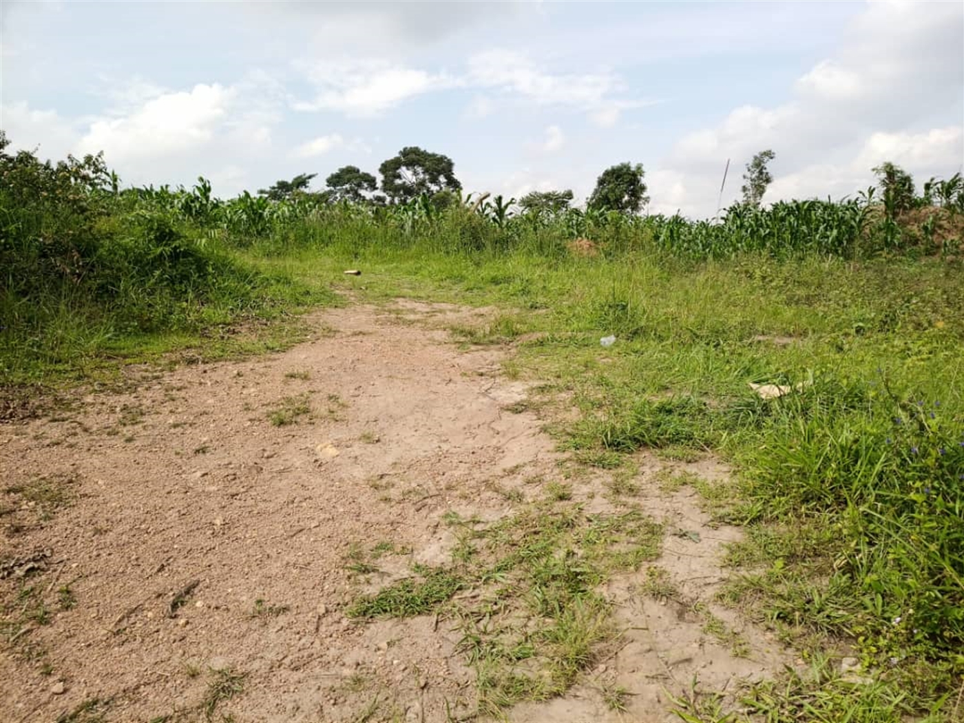 Multipurpose Land for sale in Matugga Wakiso