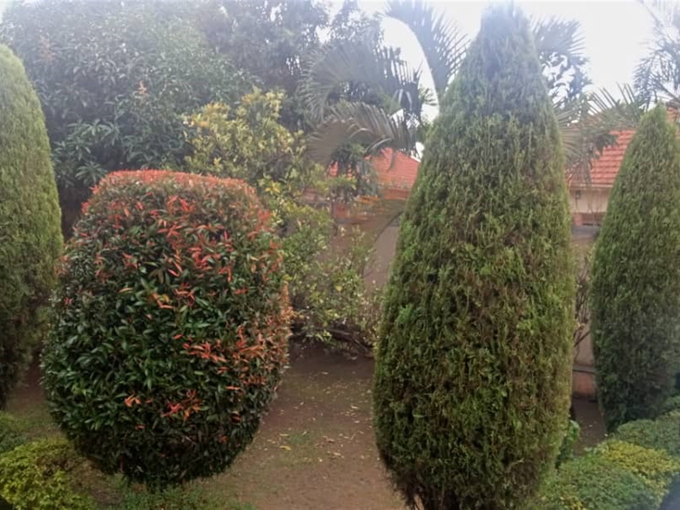 Bungalow for sale in Najjera Wakiso