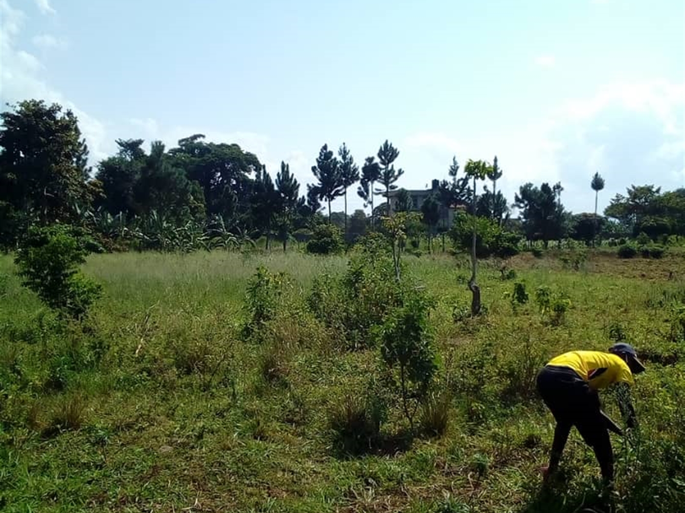 Multipurpose Land for sale in Bwelenga Wakiso