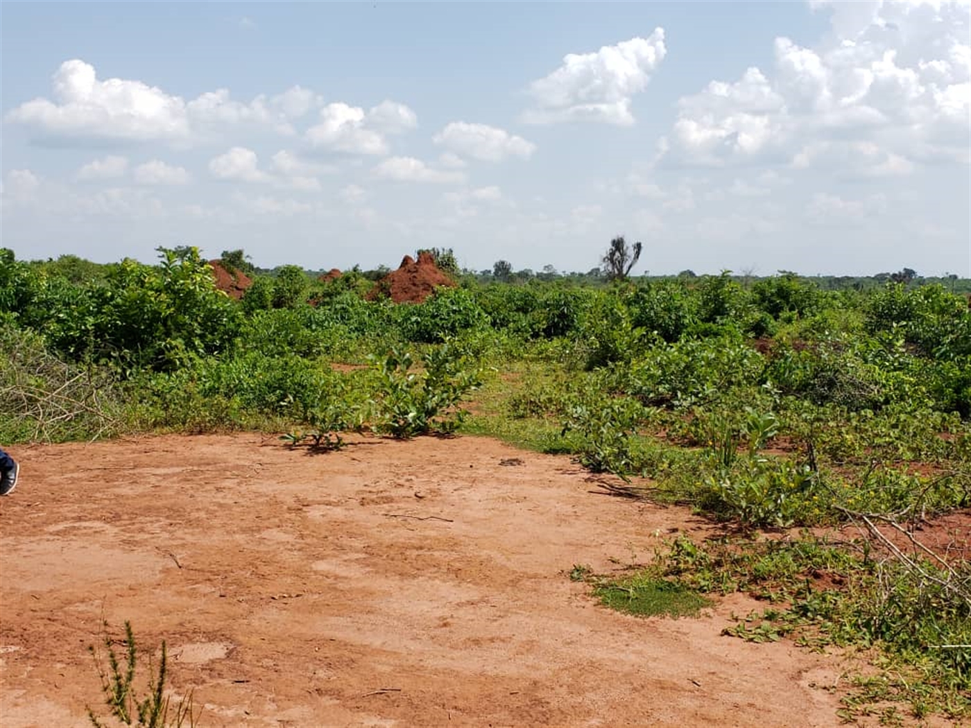 Multipurpose Land for sale in Wakyato Nakaseke