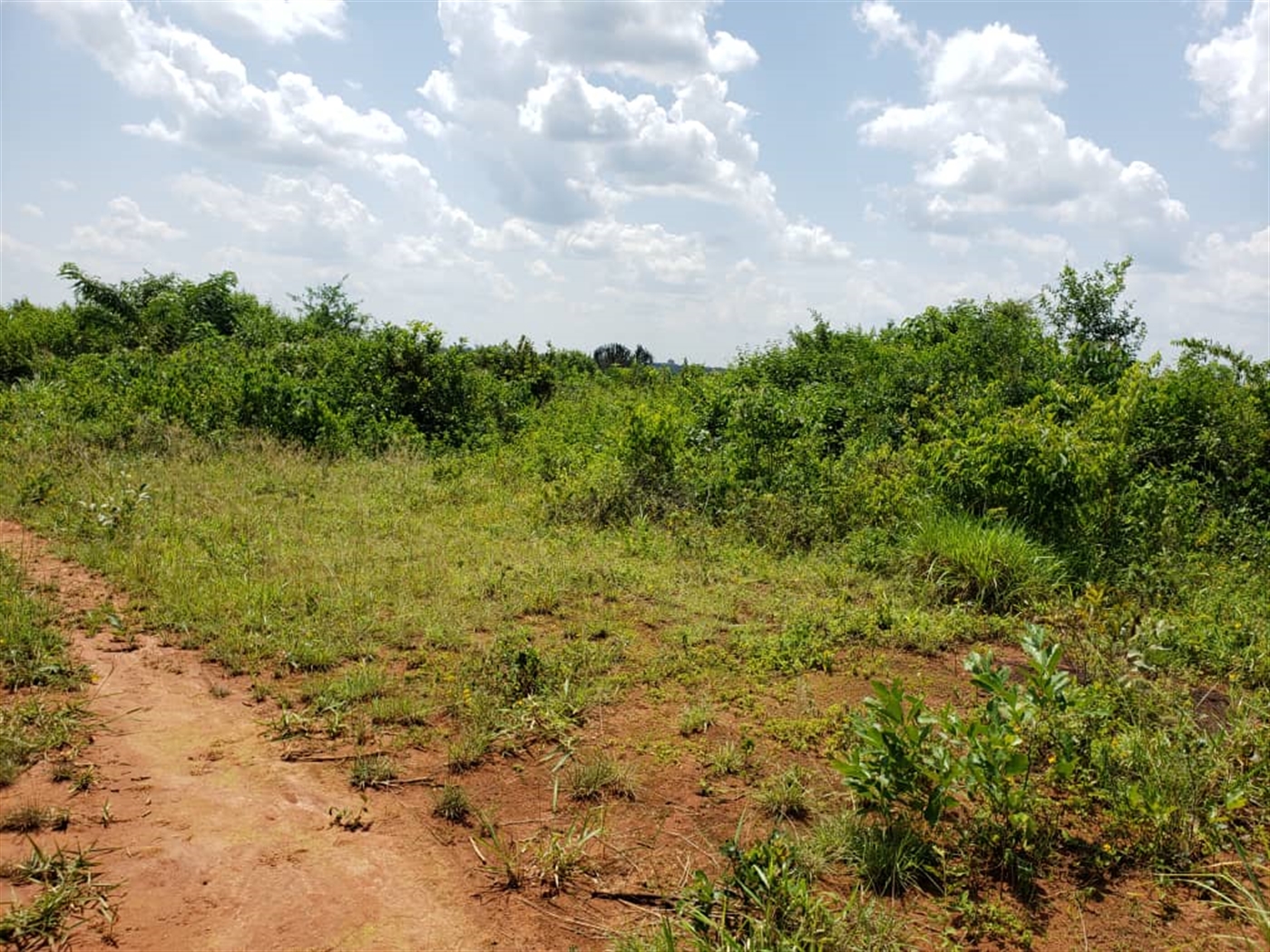 Multipurpose Land for sale in Wakyato Nakaseke