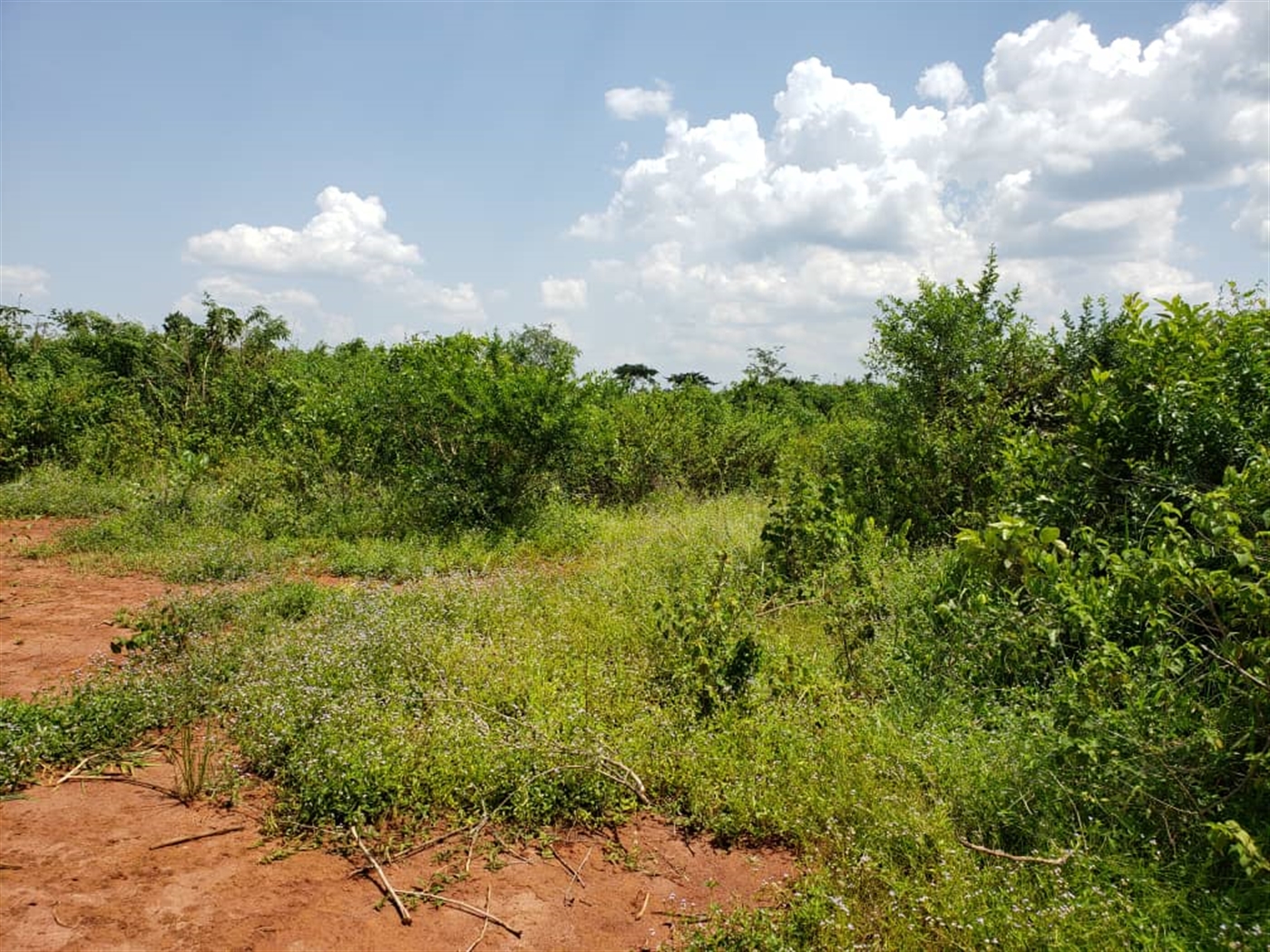 Multipurpose Land for sale in Wakyato Nakaseke