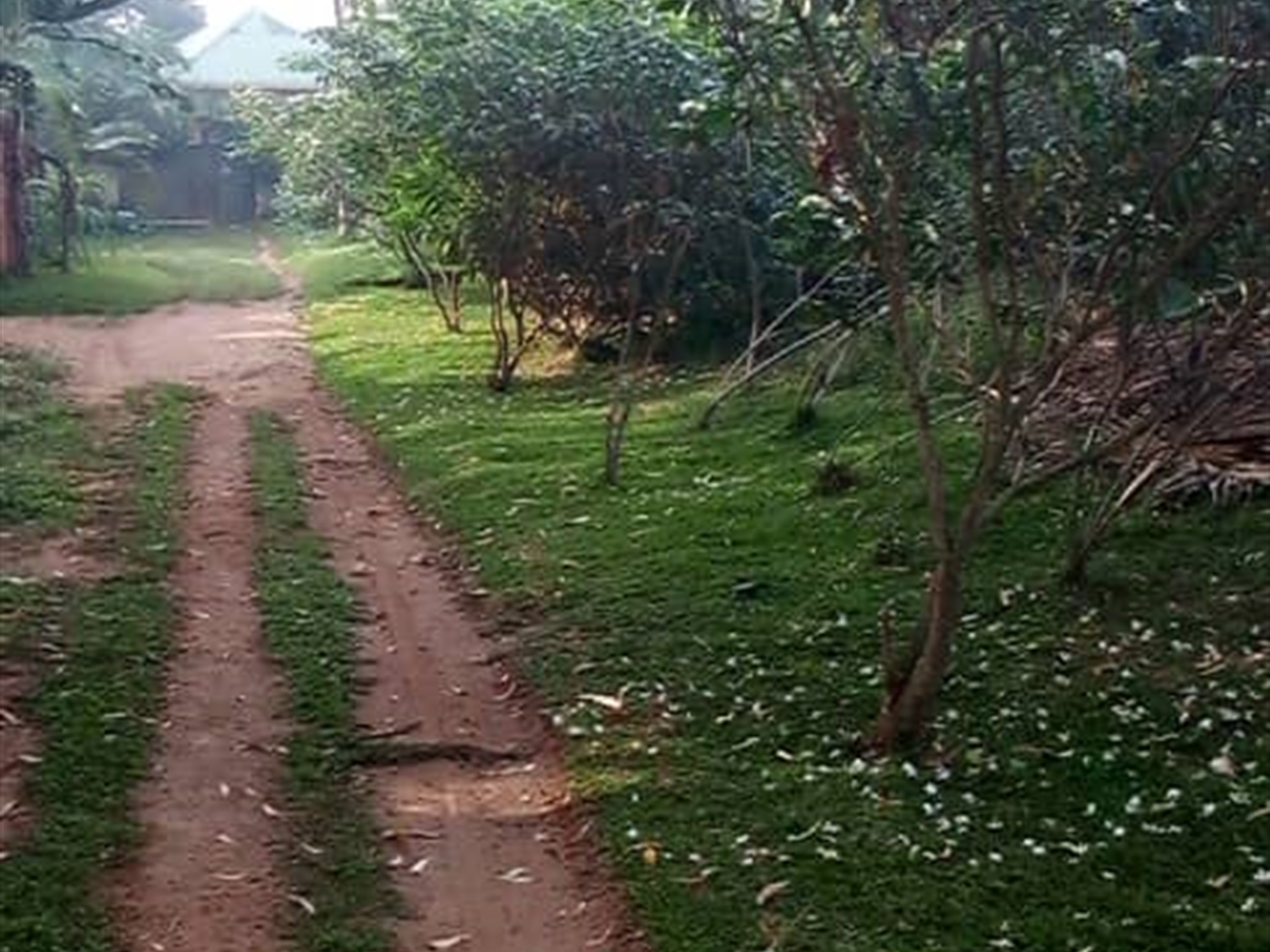 Multipurpose Land for sale in Bukasa Kampala