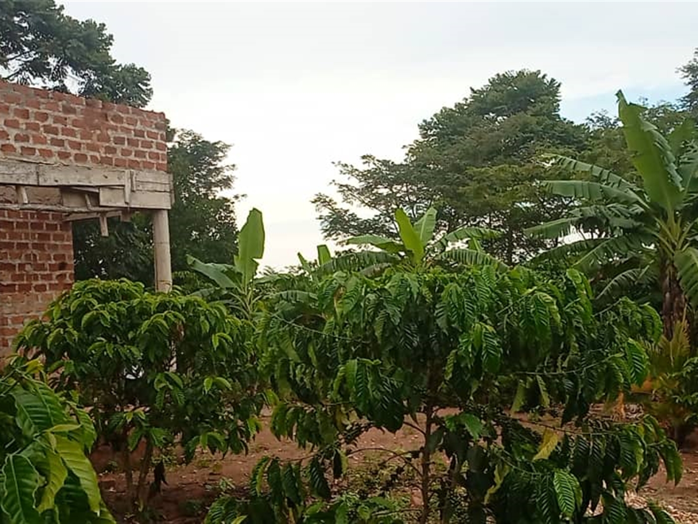 Shell House for sale in Luweero Luweero